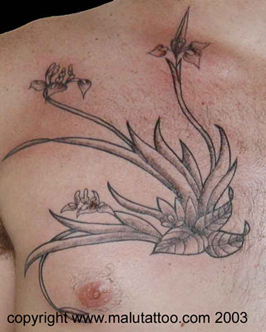 Tribal Tattoo Floral Chest